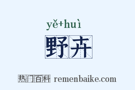 野卉是什么意思的图片